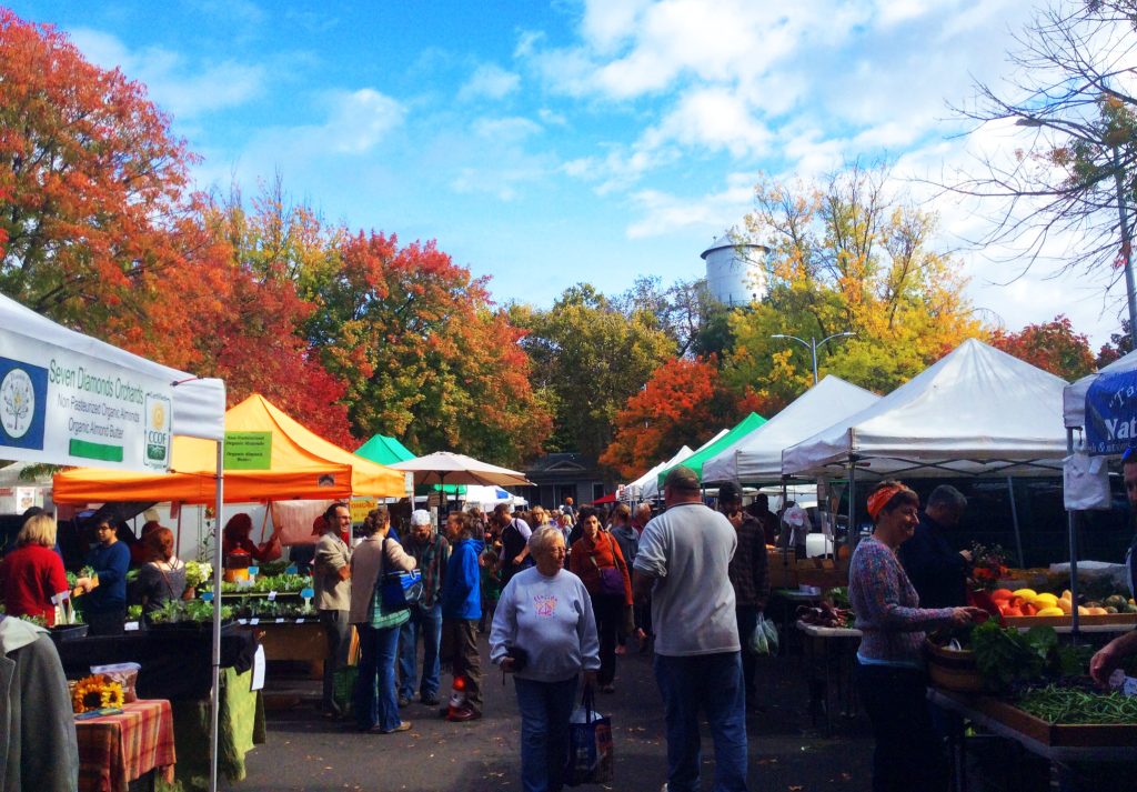 Exploring Chico, California Unveiling Hidden Gems and Iconic Landmarks
